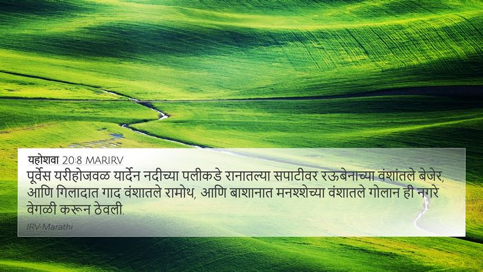 यहोशवा 20:8 MARIRV Bible Verse Image