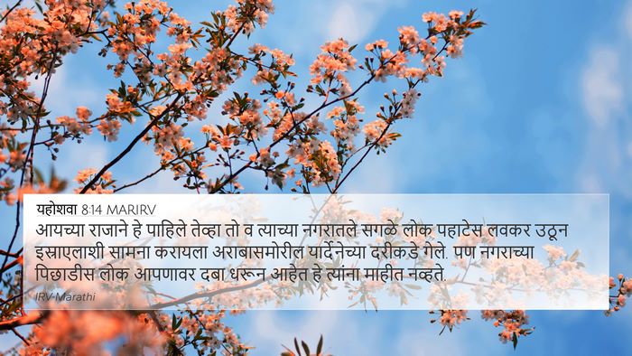 यहोशवा 8:14 MARIRV Bible Verse Image