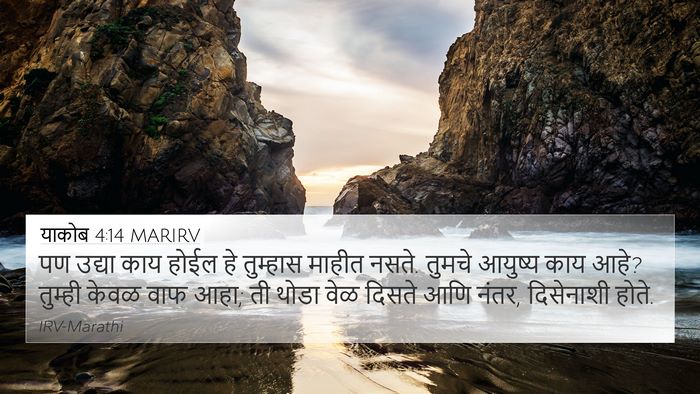 याकोब 4:14 MARIRV Bible Verse Image