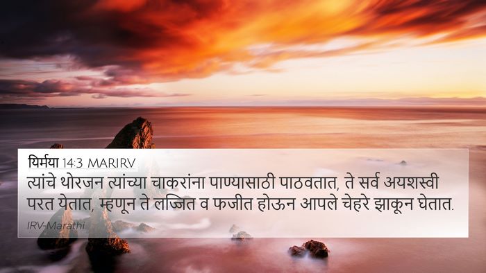 यिर्मया 14:3 MARIRV Bible Verse Image