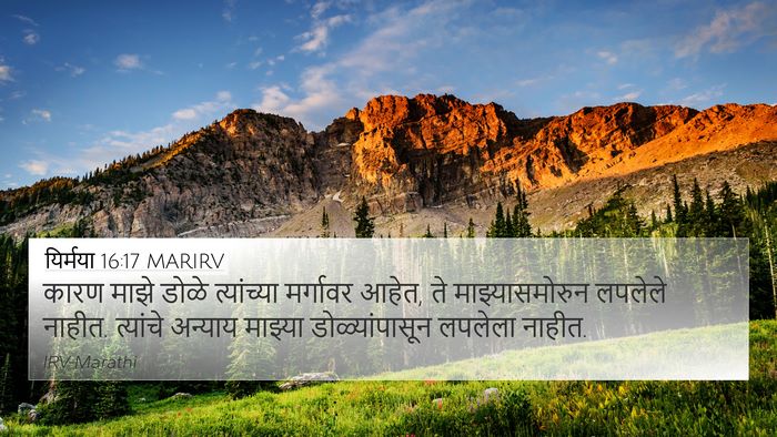 यिर्मया 16:17 MARIRV Bible Verse Image