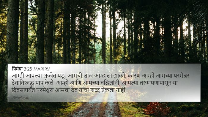 यिर्मया 3:25 MARIRV Bible Verse Image