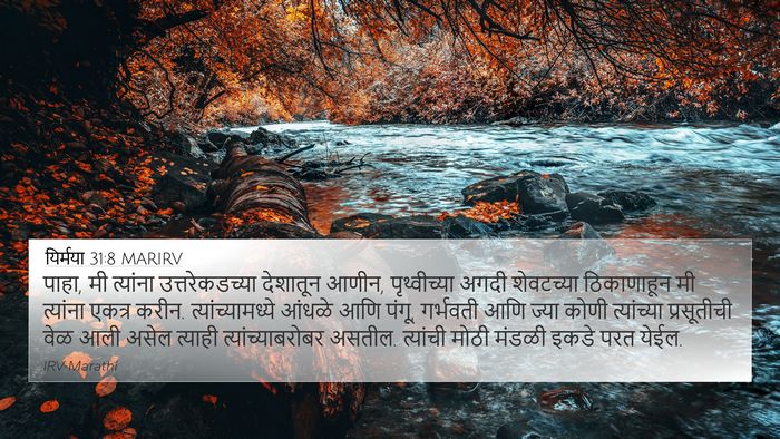 यिर्मया 31:8 MARIRV Bible Verse Image