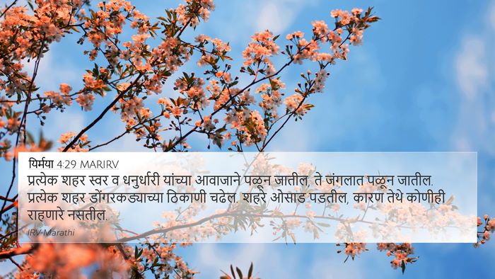 यिर्मया 4:29 MARIRV Bible Verse Image