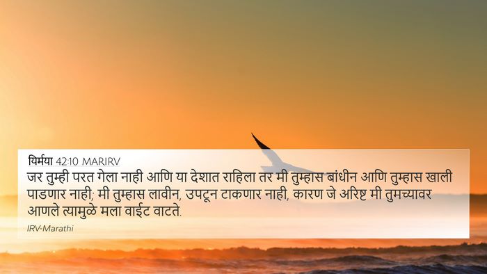 यिर्मया 42:10 MARIRV Bible Verse Image