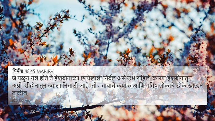 यिर्मया 48:45 MARIRV Bible Verse Image