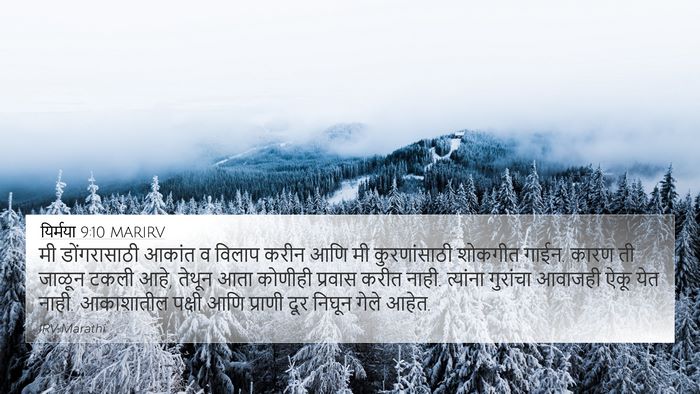 यिर्मया 9:10 MARIRV Bible Verse Image
