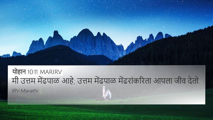 योहान 10:11 MARIRV Bible Verse Image