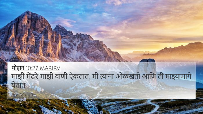 योहान 10:27 MARIRV Bible Verse Image