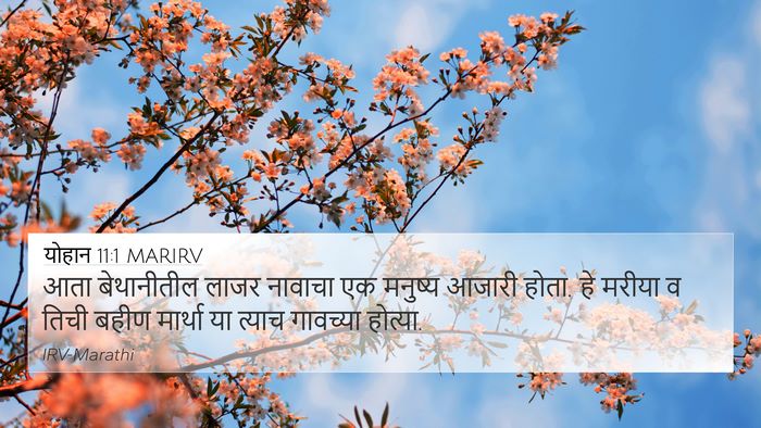 योहान 11:1 MARIRV Bible Verse Image
