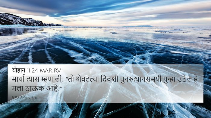 योहान 11:24 MARIRV Bible Verse Image