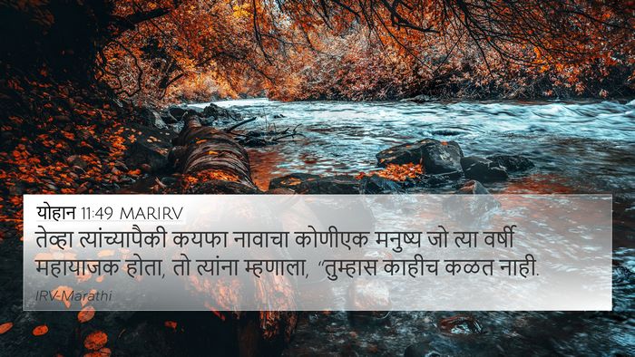 योहान 11:49 MARIRV Bible Verse Image