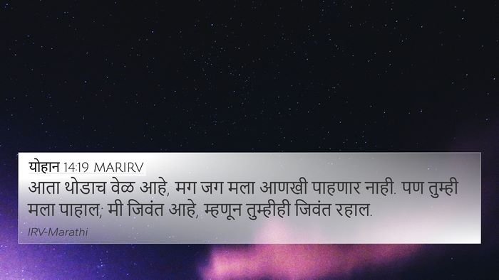 योहान 14:19 MARIRV Bible Verse Image