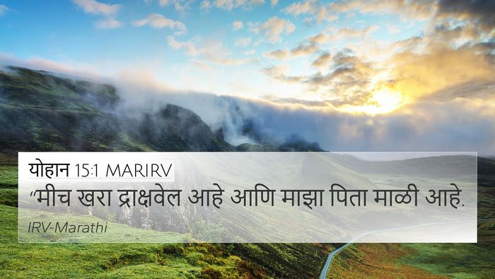 योहान 15:1 MARIRV Bible Verse Image