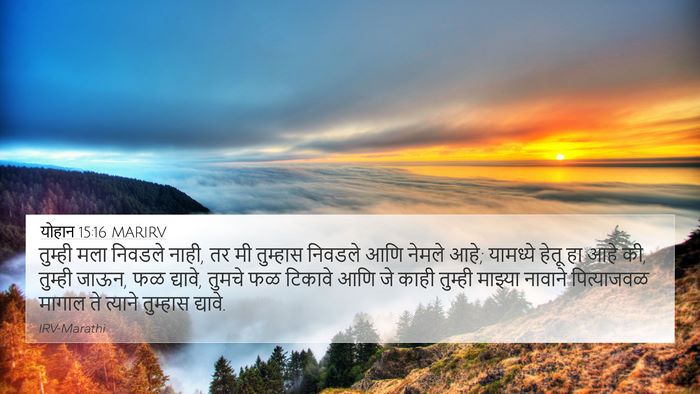 योहान 15:16 MARIRV Bible Verse Image
