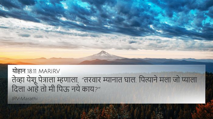 योहान 18:11 MARIRV Bible Verse Image