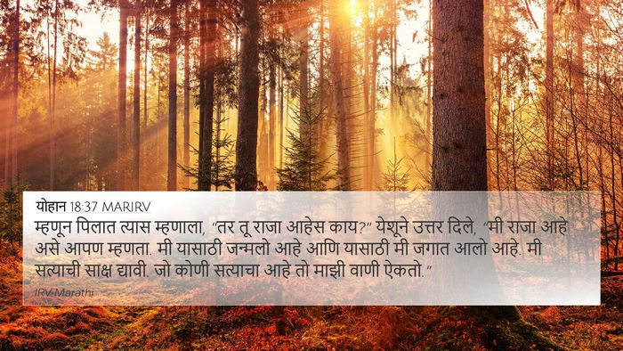 योहान 18:37 MARIRV Bible Verse Image