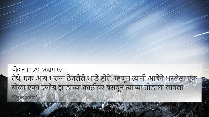 योहान 19:29 MARIRV Bible Verse Image