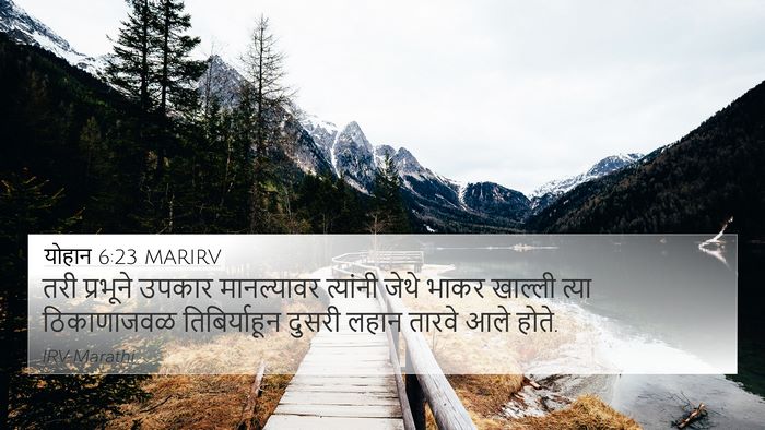 योहान 6:23 MARIRV Bible Verse Image