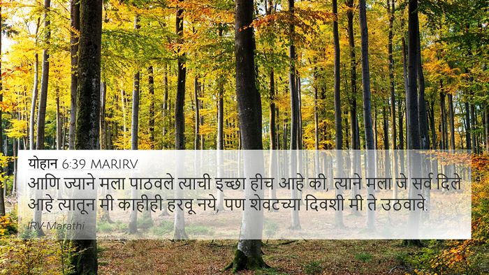 योहान 6:39 MARIRV Bible Verse Image