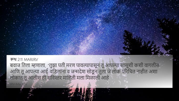 रूथ 2:11 MARIRV 4K Wallpaper - बवाज तिला म्हणाला, - 4K Wallpaper Bible Verse