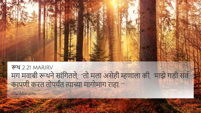 रूथ 2:21 MARIRV 4K Wallpaper - मग मवाबी रूथने - 4K Wallpaper Bible Verse