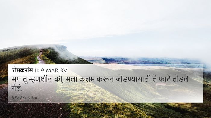रोमकरांस 11:19 MARIRV Bible Verse Image