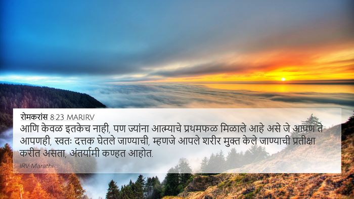 रोमकरांस 8:23 MARIRV Bible Verse Image