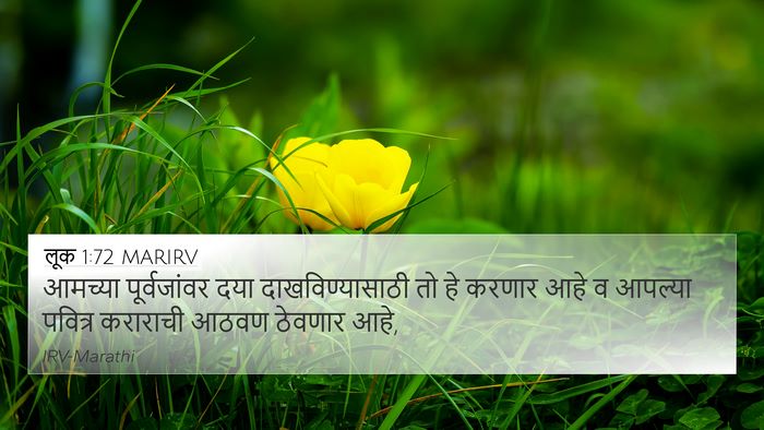 लूक 1:72 MARIRV Bible Verse Image