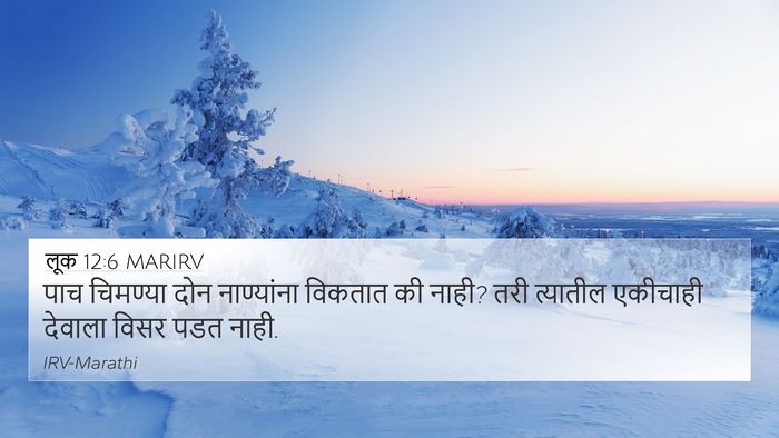 लूक 12:6 MARIRV Bible Verse Image