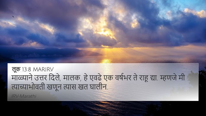 लूक 13:8 MARIRV 4K Wallpaper - माळ्याने उत्तर - 4K Wallpaper Bible Verse