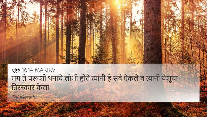 लूक 16:14 MARIRV Bible Verse Image