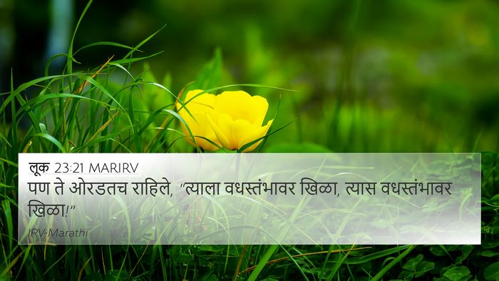 लूक 23:21 MARIRV 4K Wallpaper - पण ते ओरडतच राहिले, - 4K Wallpaper Bible Verse