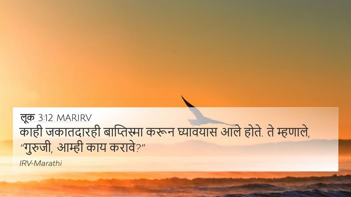 लूक 3:12 MARIRV 4K Wallpaper - काही जकातदारही - 4K Wallpaper Bible Verse