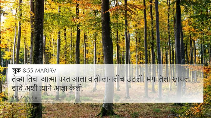 लूक 8:55 MARIRV 4K Wallpaper - तेव्हा तिचा आत्मा - 4K Wallpaper Bible Verse