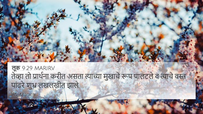 लूक 9:29 MARIRV Bible Verse Image