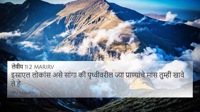 लेवीय 11:2 MARIRV Bible Verse Image