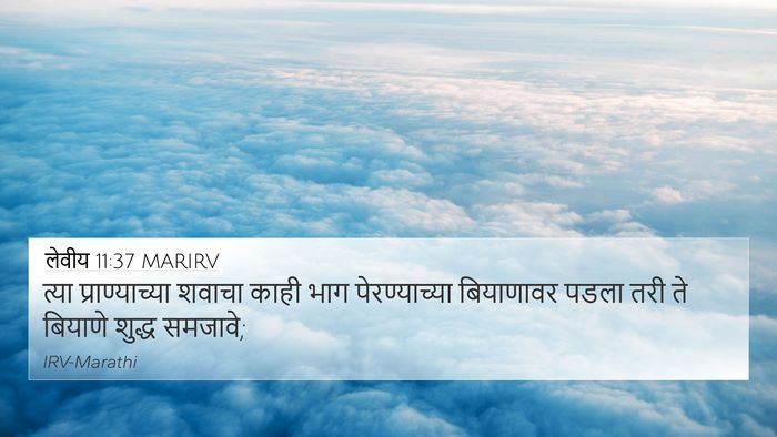 लेवीय 11:37 MARIRV 4K Wallpaper - त्या प्राण्याच्या - 4K Wallpaper Bible Verse