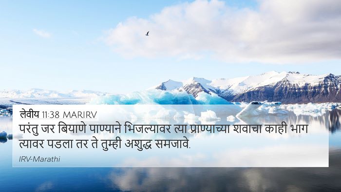लेवीय 11:38 MARIRV Bible Verse Image