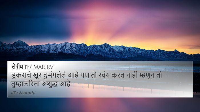 लेवीय 11:7 MARIRV Bible Verse Image