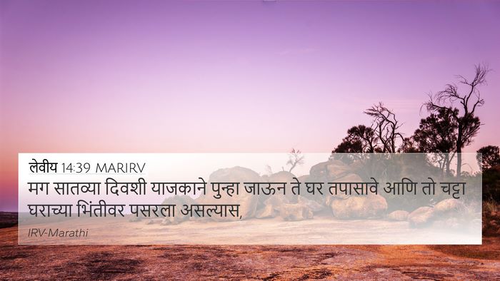 लेवीय 14:39 MARIRV 4K Wallpaper - मग सातव्या दिवशी - 4K Wallpaper Bible Verse