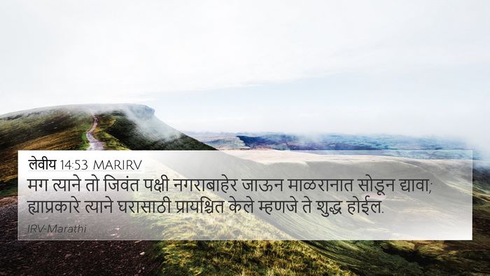 लेवीय 14:53 MARIRV 4K Wallpaper - मग त्याने तो जिवंत - 4K Wallpaper Bible Verse