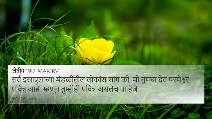 लेवीय 19:2 MARIRV Bible Verse Image