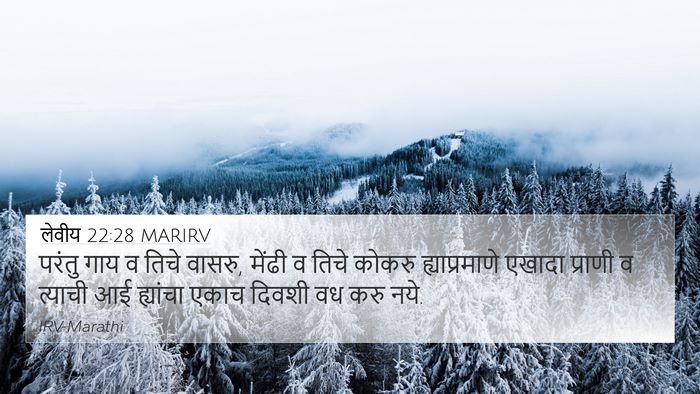 लेवीय 22:28 MARIRV Bible Verse Image