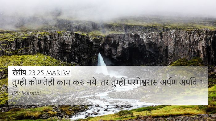 लेवीय 23:25 MARIRV Bible Verse Image