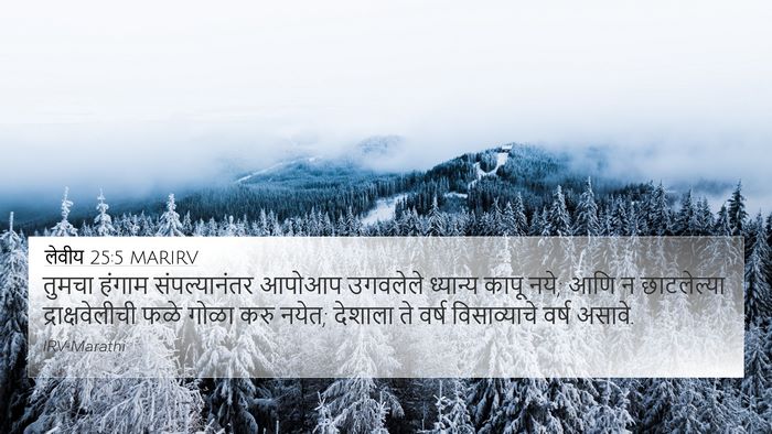 लेवीय 25:5 MARIRV 4K Wallpaper - तुमचा हंगाम - 4K Wallpaper Bible Verse
