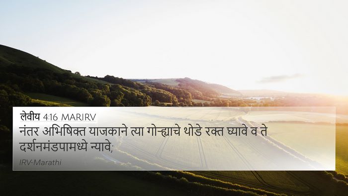 लेवीय 4:16 MARIRV Bible Verse Image