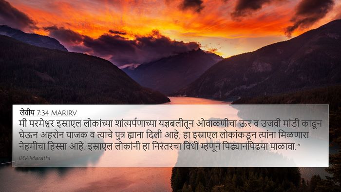 लेवीय 7:34 MARIRV Bible Verse Image