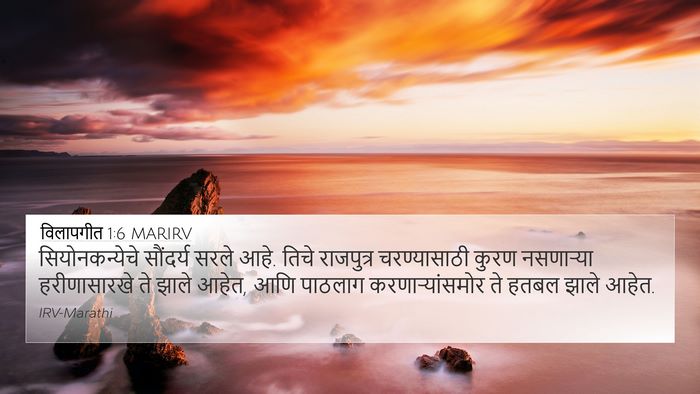 विलापगीत 1:6 MARIRV 4K Wallpaper - सियोनकन्येचे - 4K Wallpaper Bible Verse