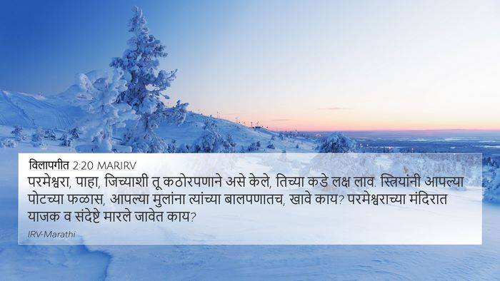 विलापगीत 2:20 MARIRV Bible Verse Image